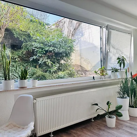 Apartment Paradiesvogel - Zentral Gelegenes In Zentrum Paderborn