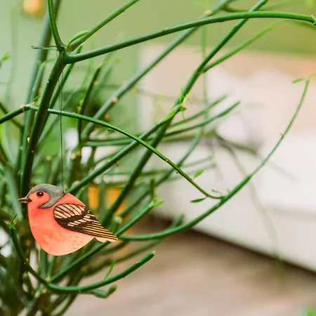 Paradiesvogel - Zentral Gelegenes In Zentrum Appartamento *