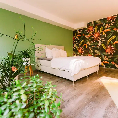 Apartment Paradiesvogel - Zentral Gelegenes In Zentrum Paderborn