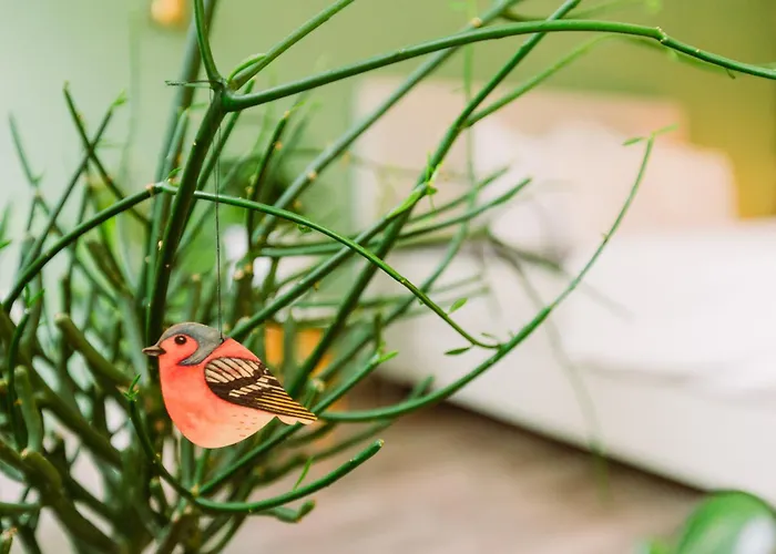 Paradiesvogel - Zentral Gelegenes In Zentrum Appartamento *