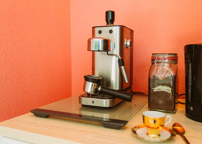 Paradiesvogel - Zentral Gelegenes In Zentrum 公寓 帕德博恩