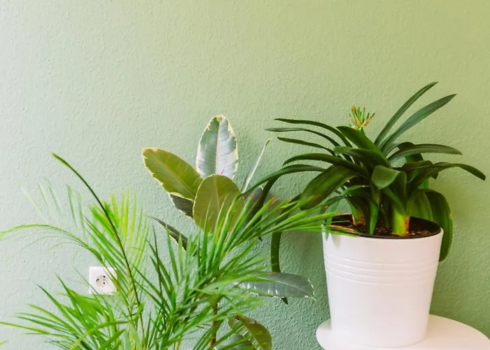 公寓 Paradiesvogel - Zentral Gelegenes In Zentrum